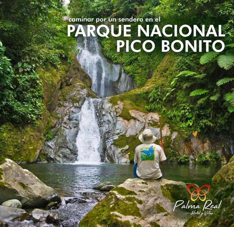Paradise Villa In Palma Real La Ceiba Ngoại thất bức ảnh